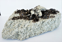 Charger l'image dans la galerie, M602A Grosse étape de quartz fumé de Suisse 15,0 kg.