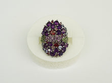 Lade das Bild in den Galerie-Viewer, S917 Silberring 925 mit Amethyst, Diopsid, Rodolithe und Tansanite