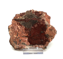 Lade das Bild in den Galerie-Viewer, H211 versteinertes Holz
