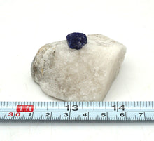 Lade das Bild in den Galerie-Viewer, M225 Lapislazuli in Matrix
