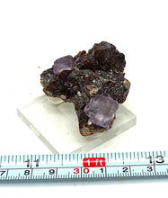 Lade das Bild in den Galerie-Viewer, M233 Fluorit auf Sphalerit
