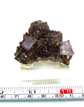 Lade das Bild in den Galerie-Viewer, M233 Fluorit auf Sphalerit
