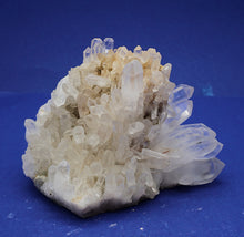 Lade das Bild in den Galerie-Viewer, M251 Brasilien 1,70 kg.
