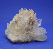 Lade das Bild in den Galerie-Viewer, M251 Brasilien 1,70 kg.
