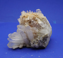 Lade das Bild in den Galerie-Viewer, M251 Brasilien 1,70 kg.
