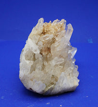 Lade das Bild in den Galerie-Viewer, M251 Brasilien 1,70 kg.
