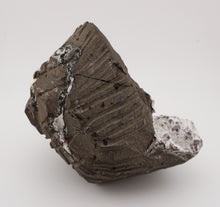 Lade das Bild in den Galerie-Viewer, M263 Geode mit Calcit
