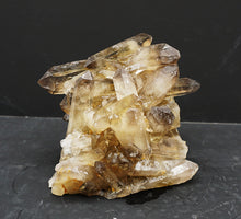 Lade das Bild in den Galerie-Viewer, M310 Citrin Stufe Top 1,20kg
