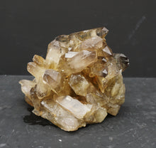 Lade das Bild in den Galerie-Viewer, M310 Citrin Stufe Top 1,20kg
