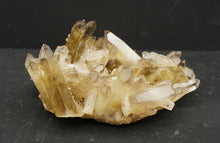 Lade das Bild in den Galerie-Viewer, M318 Citrin Stufe Top 2,40kg.
