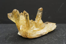 Lade das Bild in den Galerie-Viewer, M320 Citrin Stufe Top 0,80kg.
