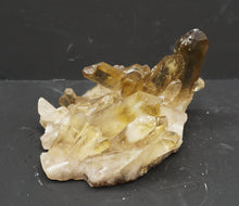 Lade das Bild in den Galerie-Viewer, M322 Citrin Stufe Top 0,70kg.
