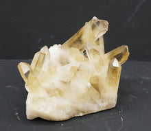 Lade das Bild in den Galerie-Viewer, M328 Citrin Stufe Top 0,80kg.
