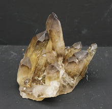 Lade das Bild in den Galerie-Viewer, M331 Citrin Stufe Top mit einem flachen Kristall
