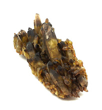 Lade das Bild in den Galerie-Viewer, M402 Rauchquarz Stufe Top 1,0 kg.

