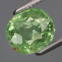 Lade das Bild in den Galerie-Viewer, E420 Tsavorit RAR 1,74ct.
