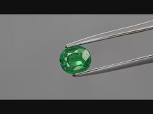 Charger et lire la vidéo dans la visionneuse de la Galerie, E409 Tsavorite RARE 0,98ct.
