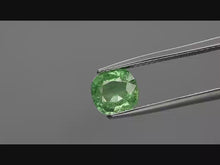 Charger et lire la vidéo dans la visionneuse de la Galerie, E954 Tsavorit 1,90ct.
