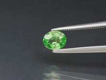 Laden und Abspielen von Videos im Galerie-Viewer, E985 Tsavorit 0,50ct.
