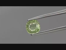 Charger et lire la vidéo dans la visionneuse de la Galerie, E1060 Tsavorite 1,39 ct.
