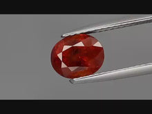 Load and play video in Gallery viewer, E379 Mandarin Orange Spessartin 2,0ct.
