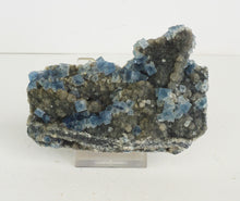 Lade das Bild in den Galerie-Viewer, M732 Fluorit blau

